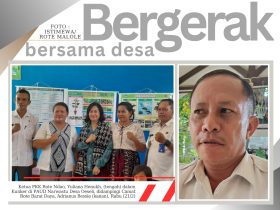 di-rote-barat-daya,-camat-apresiasi-dua-desa-ini,-oeseli-menyusul,-berharap-clear-awal-april