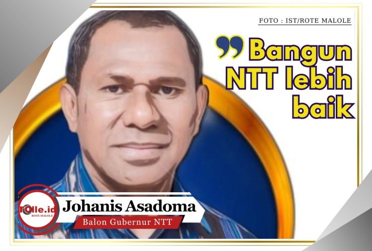 asadoma-pasti-cagub-ntt,-beberapa-sektor-di-rote-ndao-disebut-potensial