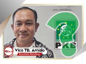 pilkada-rote-ndao,-vico-amalo-on-the-way-pkb,-netizen-menohok-‘bu-jarkataaa’