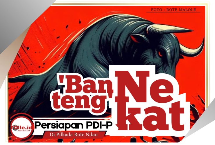 big-koalisi-di-pilkada-rote-ndao-bikin-‘banteng’-tak-kecut-nyali,-santunnya-apik-main-politik