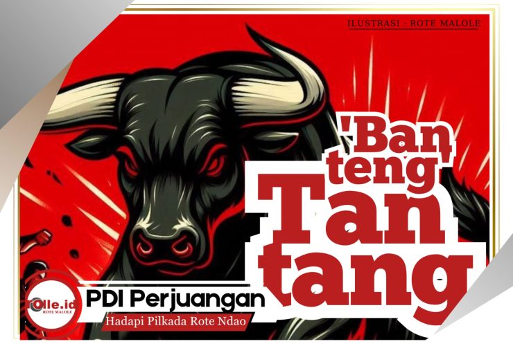 mengerucut-tiga-penunggang-‘banteng’-di-pilkada-rote-ndao,-denison-kader-potensial,-pdi-p-gabung-perindo-or-hanura?