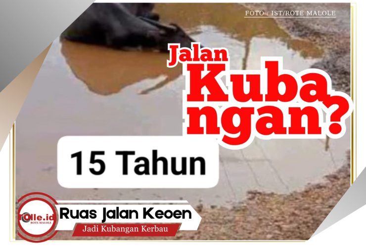 ruas-jalan-keoen-tempat-kerbau-berkubang-kandas-di-musrenbang,-penjabat-bupati-rote-ndao-bisa-bersolusi?