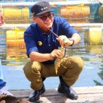 Pj. Gubernur NTT Dorong Pertanian dan Budidaya Lobster Berkelanjutan di Rote Ndao