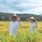 Panen Raya di Daefadin, Bupati Paulus Henuk Janjikan Solusi Konkret untuk Petani