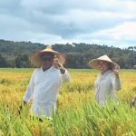 Panen Raya di Daefadin, Bupati Paulus Henuk Janjikan Solusi Konkret untuk Petani