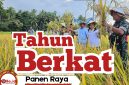 Di Balik Hasil Padi yang Melimpah, Ada Langkah Konret Fraksi PKB Rote Ndao, Jaga Harapan Petani
