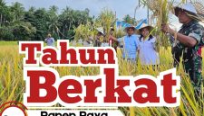 Di Balik Hasil Padi yang Melimpah, Ada Langkah Konret Fraksi PKB Rote Ndao, Jaga Harapan Petani