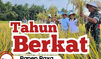 di-balik-hasil-padi-yang-melimpah,-ada-langkah-konret-fraksi-pkb-rote-ndao,-jaga-harapan-petani