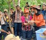 Wabup Apremoi Pimpin Giat Pelepasan 10 Kura-kura Leher Ular di Landu Leko