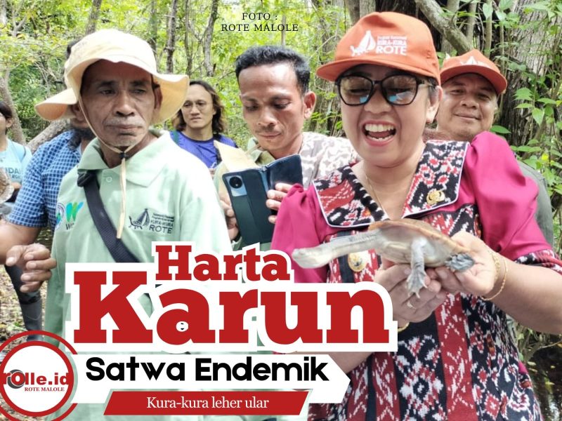 Bangga Lepas Kura-Kura Leher Ular, Wabup Apremoi Sebut Anugerah yang Dijaga, Landu Leko Pasti Maju